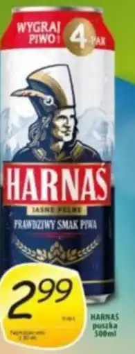 Rosa Harnas oferta