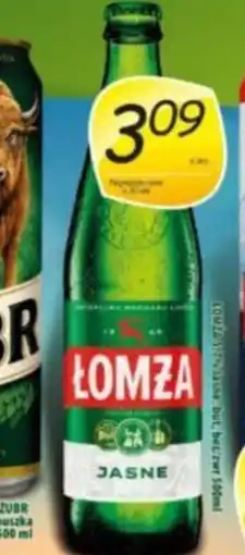 Rosa Piwo Lomża Jasne oferta
