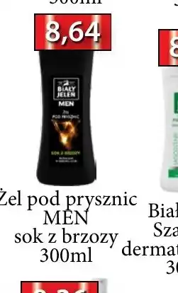 ADEKS Zel pod prysznic MEN oferta