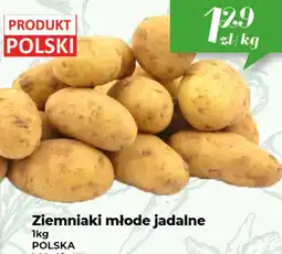Społem Ziemniaki młode jadalne oferta