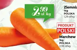 Społem Marchew oferta