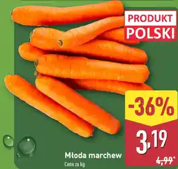 ALDI Młoda marchew oferta