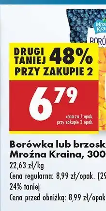 Biedronka Borówka Mroźna Kraina oferta