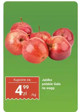 Biedronka Jabłko polskie Gala 1 kg Biedronka oferta