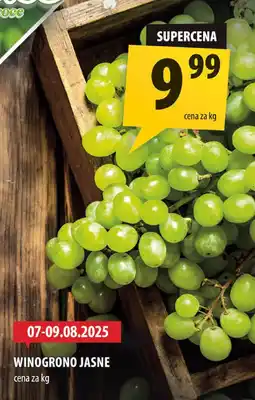 Arhelan Winogrono jasne Arhelan oferta