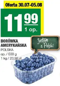 Spar Borówka amerykańska SPAR oferta