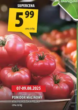 Arhelan Pomidor malinowy Arhelan oferta