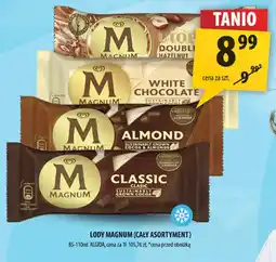 Arhelan Lody Magnum oferta
