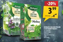 Arhelan Herbata Zielnik Polski (cały asortyment) Herbapol oferta