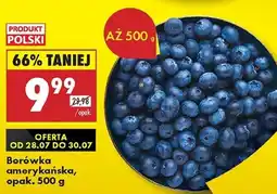 Biedronka Borówka amerykańska oferta