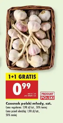 Biedronka Czosnek młody oferta