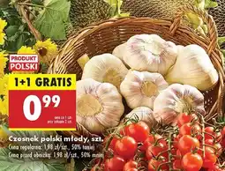 Biedronka Czosnek młody oferta