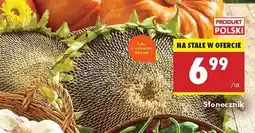 Biedronka Słonecznik oferta