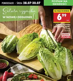 Biedronka Sałata rzymska Gobio oferta