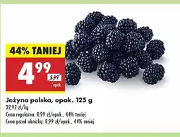 Biedronka Jeżyny polska oferta