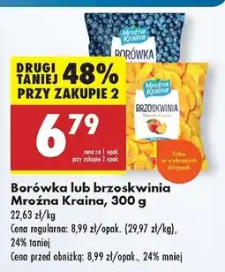 Biedronka Brzoskwinia Mroźna Kraina oferta