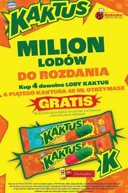 Biedronka Lody sweet & sour Nestle Kaktus oferta
