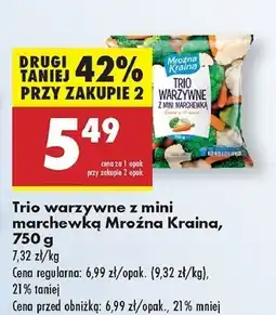 Biedronka Trio warzywne Mroźna Kraina oferta