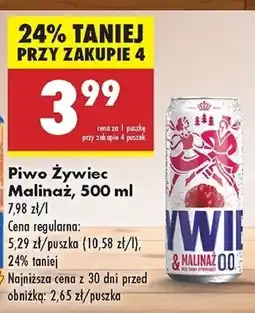 Biedronka Piwo Żywiec Malinaż oferta