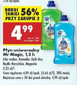 Biedronka Płyn uniwersalny magnolia Mr Magic oferta