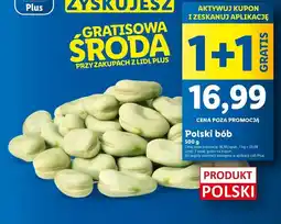 Lidl Polski bób oferta