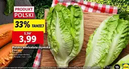 Lidl Sałatka rzymska mini oferta