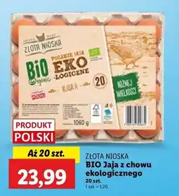 Lidl Jaja kl. a Złota Nioska oferta