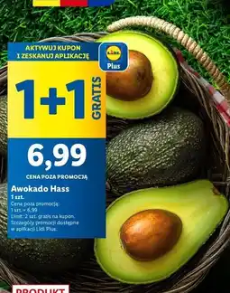 Lidl Awokado hass oferta