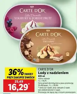 Lidl Lody owoce leśne Algida Carte D'or Les Desserts oferta