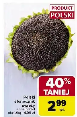 Carrefour Market Słonecznik świeży polski Carrefour Market oferta