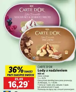 Lidl Lody Carte d'Or z nadzieniem różne rodzaje oferta