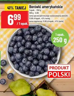 Polomarket Borówki amerykańskie Polomarket oferta