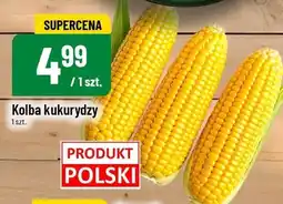 Polomarket Kolba kukurydzy POLOmarket oferta