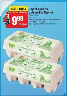 Polomarket Jaja ekologiczne Eko Marysia oferta