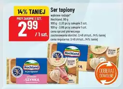 Polomarket Ser topiony różne rodzaje Hochland oferta