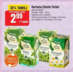 Polomarket Herbata Zielnik Polski Herbapol oferta
