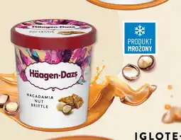 Polomarket Lody Häagen-Dazs Macadamia Nut Brittle oferta
