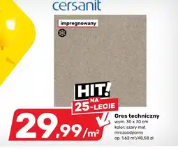 Bricomarche Gres Cersanit oferta