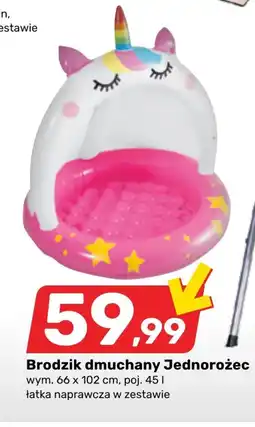 Bricomarche Brodzik basenowy oferta