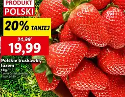 Lidl Truskawki Polski oferta