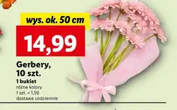 Lidl Bukiet kwiatów Ok oferta