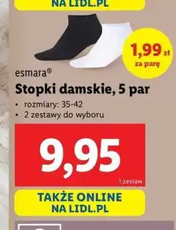 Lidl Stopki damskie 35-42 Esmara Livergy oferta