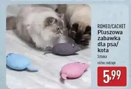 ALDI Zabawka dla psa pluszowa Romeo oferta