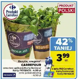 Carrefour Market Bazylia Carrefour oferta