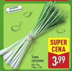 ALDI Trawa cytrynowa 1 opak. Aldi oferta