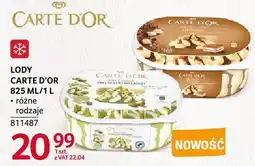 Selgros Lody Carte d'Or różne rodzaje oferta