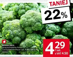 Selgros Brokuł Selgros oferta