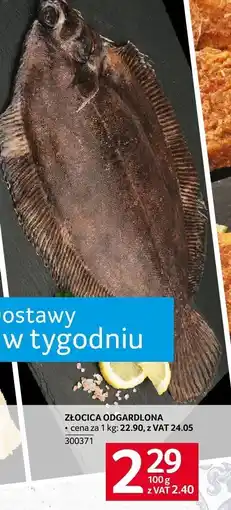 Selgros Złocica odgardlona Selgros oferta