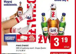 Chorten Piwo Żywiec oferta