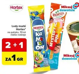Carrefour Lody Hortex oferta